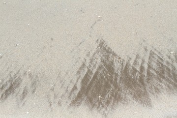 Tropical beach and interesting sand pattern.  Beach with pieces of seashells and sand pattern.