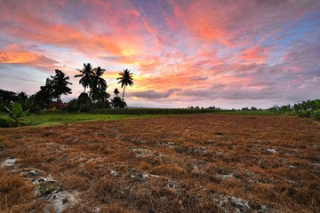 Beautiful colorful sunrise at the countryside village. Natural background.