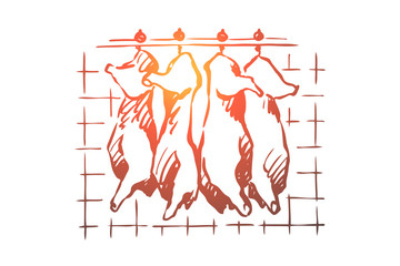 Abattoir, meat cutting, chopped pork, cattle carcasses hanging in freezer, refrigerator, raw, uncooked product