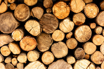 Wall of stacked wood logs as background