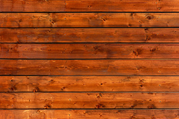 Naklejka premium The texture of the trees, the trees are the wall of the house.