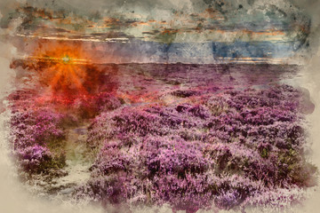 Watercolour painting of Stunning dawn sunrise landscape image of heather on Higger Tor in Summer in Peak District England