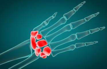 3D illustration of Carpal, medical concept. 