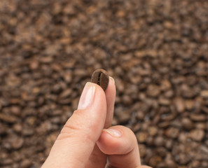 Hand is holding a coffee bean against the background of scattered coffee beans