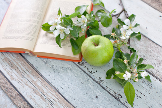 Apple with sprig book