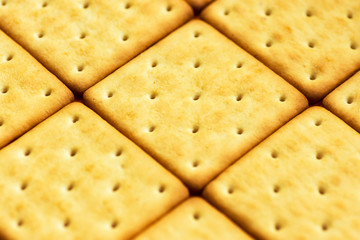 Baking culinary creative food background. Pattern from savory cheese crackers with golden crust. Breakfast energy bread making concept