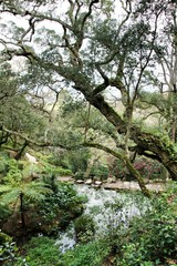 Leafy and green gardens in Sintra