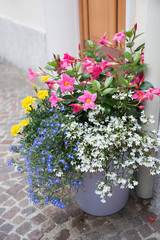 Dekorativer bunter Blumentopf vor dem Hauseingang