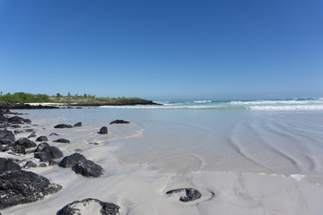 Beach at Galápagos Tortuga Bay