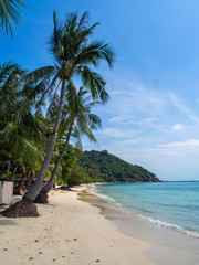 Fototapeta na wymiar Beautiful pictures of sandy beaches on Koh Phangan. Thailand