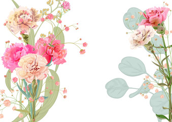 Horizontal Mother's Day card with carnation: pale, pink, flowers, twig gypsophile, eucalyptus, silver dollar, white background. Templates for design, botanical illustration in watercolor style, vector