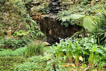 Leafy and green gardens in Sintra