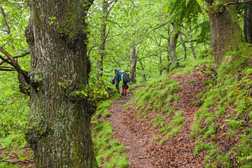 Obraz premium Some hikers walk the steep paths of the Apuan Alps in Italy.