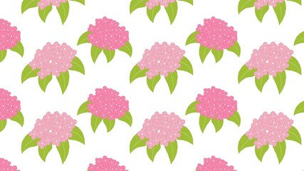 アジサイ　パターン