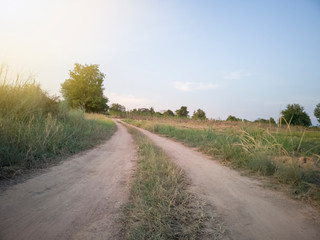 Rural roads with grass on the side in the evening.
