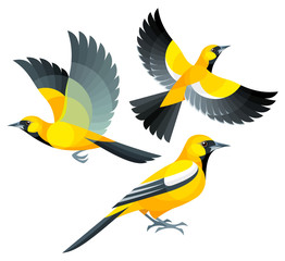 Stylized Birds - Jamaican Oriole