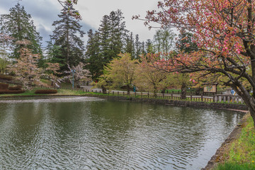 春の米沢城跡の風景