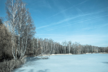 Edge of the forest near the frozen lake. Spring. Winter.