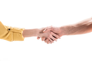 cropped view of man and woman shaking hands isolated on white