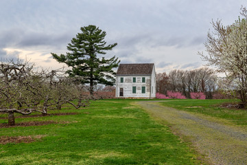 Fototapeta na wymiar Rural Spring Landscape