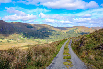 Road to Barley Lake Glengariff