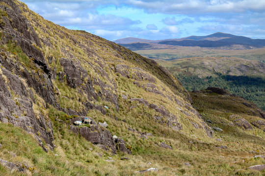 Photos by Corey Macri (www.westcorkweekends.ie)