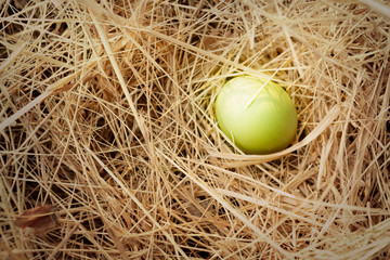 Egg in nature.Easter concept.background.