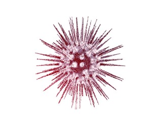 Virus isolated on white background 