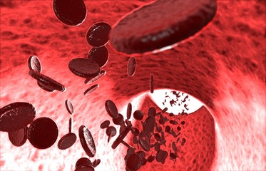 Blood cell