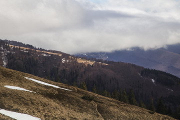 Sunny landscape at the end of winter season