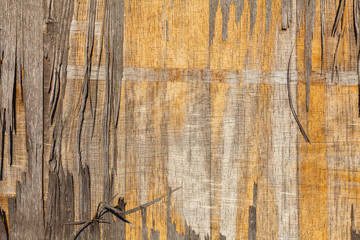 Texture of old gray and yellow plywood