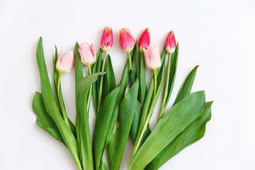 Bouquet of colored tulips on a white background. Spring flowers. Colored tulips, Lovely tulip flowers composition. Valentines Day or Mothers day. International Womens Day March 8.