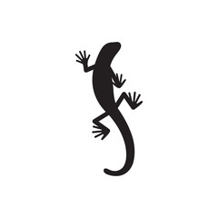 Obraz premium Vector illustration of iguana animal.