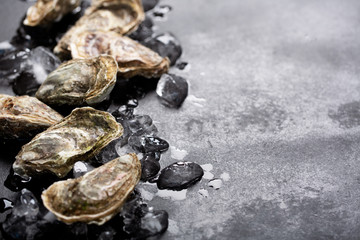 Closed oysters and ice on black background. Healthy sea food, copy space
