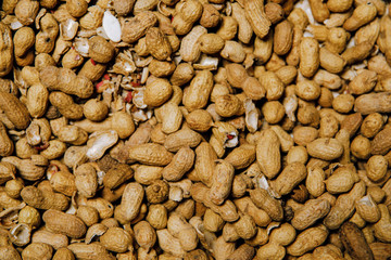 Brown peanuts in a shell.