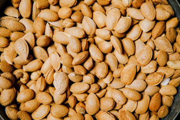 Brown almonds in a shell.