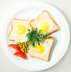fried egg on white plate