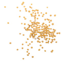 Yellow mustard seeds macro isolated on white, top view