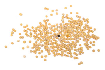 Yellow mustard seeds macro isolated on white, top view