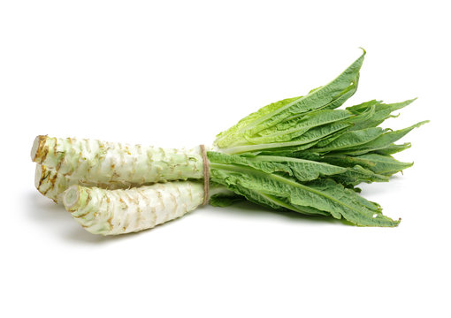 Asparagus lettuce on white background