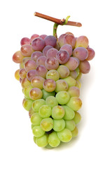 Grapes on white background 