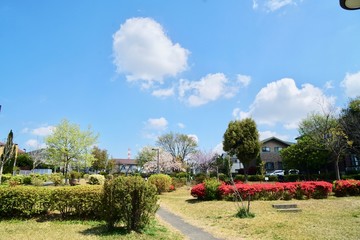 春の公園