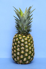 Pineapple tropical fruit on a  blue  background. Tropical background for design.