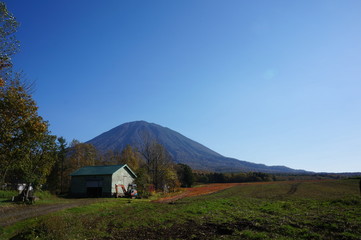 秋の畑と羊蹄山