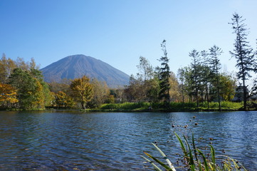 Fototapeta premium 秋の羊蹄山