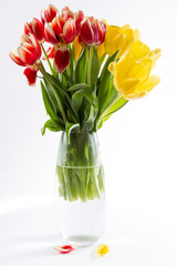 tulipe vase blanc pot métal rouge jaune vert