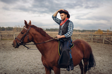 Cowboy riding a horse in desert valley, western