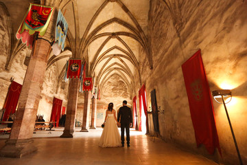 Beautiful wedding couple posing inside of castle