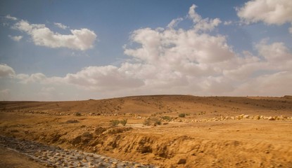 Fototapeta na wymiar Israeli desert