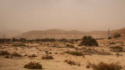Naklejka premium Israeli desert